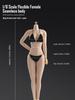 Toys Hobbies Scale Action Figure ANT AB001W White Pearl Skin Super Flexible Seamless Body Large Bust No Clothes Female Body & [TOYBARJAPAN] 1/6