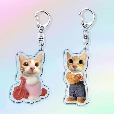 Funny Cute Cat Keychains for Accessories Bag Gamer Animal Kiwi Donut Cat Meme KeyChain Ring Jewelry Fans Gifts Keyrings