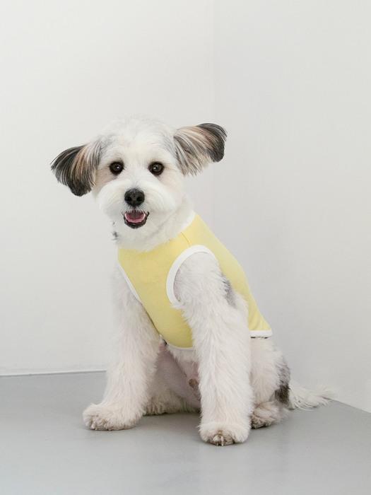 

foreverybari size tee (lemon yellow) XL (5,000 won)