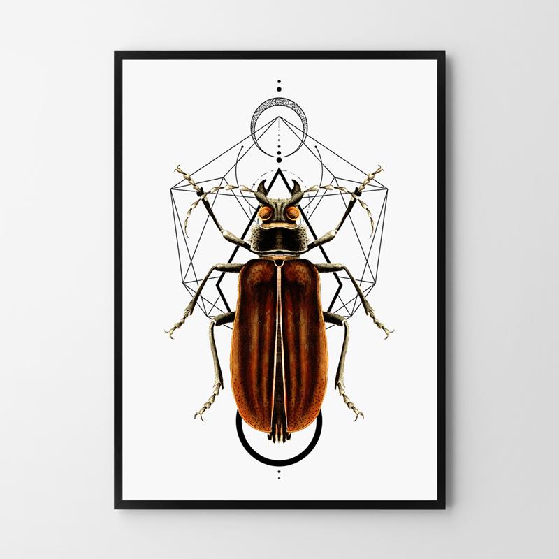 Poster Worms Insects Geometry