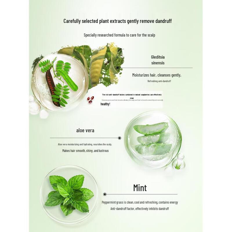 BaWang Soapberry Anti-Dandruff Shampoo