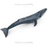 Sperm Whale Marine Animal Model Simulation Sea Life Figure Collection Whale Figurines  Home Decor