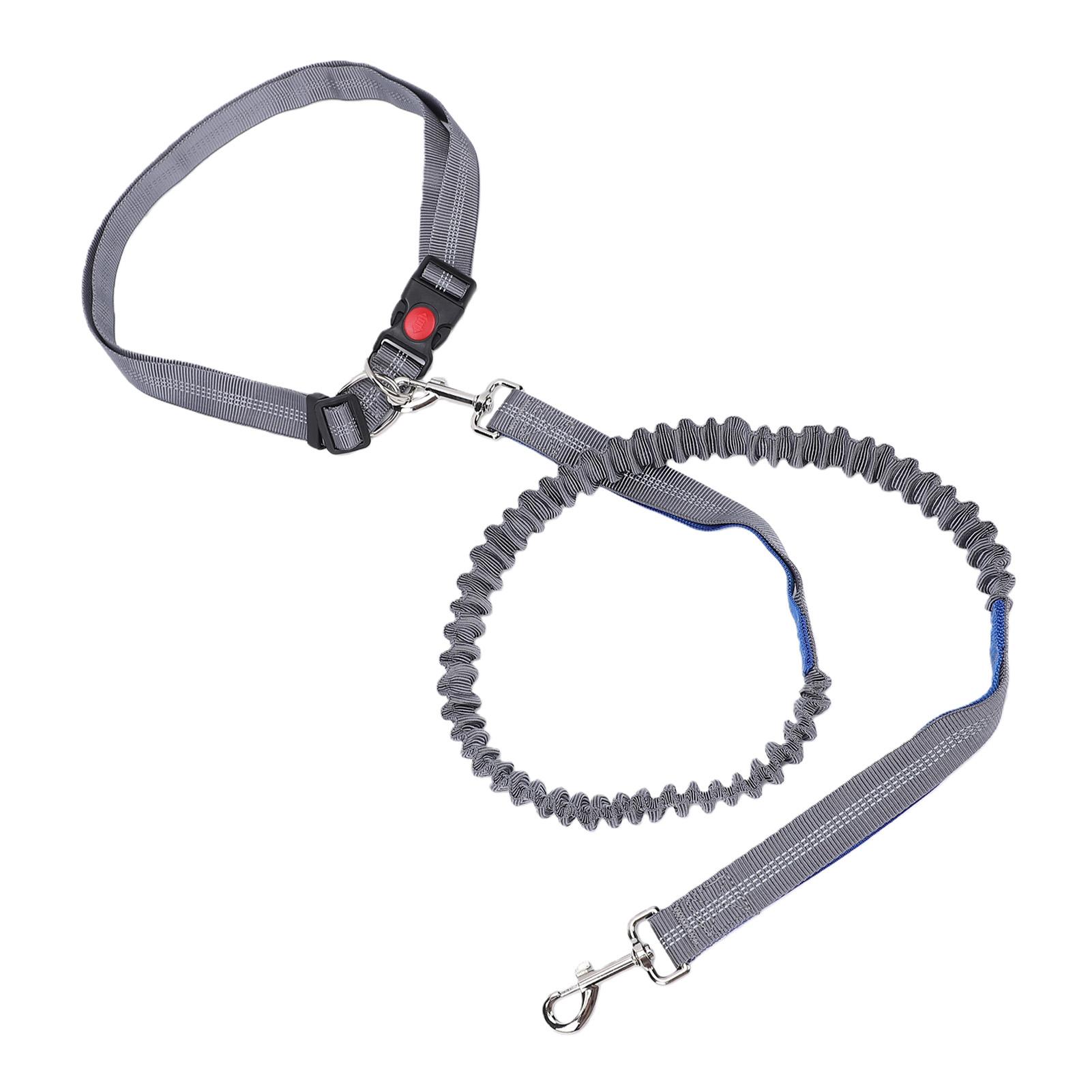 Dog Leash Multifunctional D Ring Reflective Strip Anti Pull Lock Buckle Nylon Dog Rope Leash for Walking Type 1