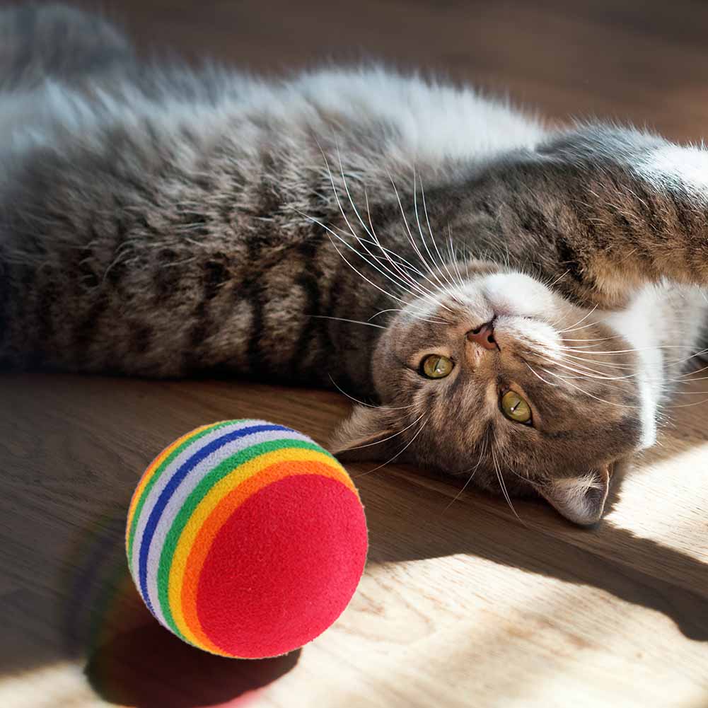 12pcs Kitten Colored Rainbow Toy Balls Lovely Teasing Toy Soft Light and Non-toxic Super Cute Beautiful with Feather for Cats