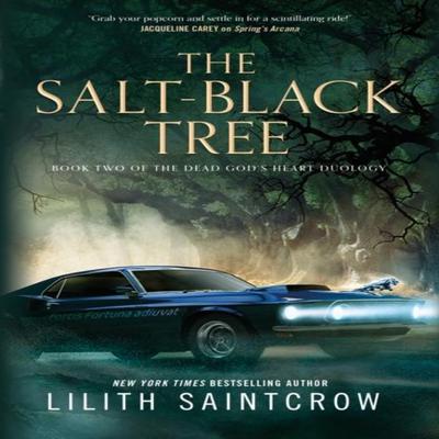 The SaltBlack Tree by Lilith Saintcrow Paperback Book 9781250791566
