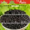 Organic Compound Fertilizer for Vegetables, Flowers, and Green Plants