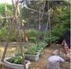 Horticultural Plant Climbing Net, Polyester Woven Net, Suitable for Other Climbing Plants Such As Tomatoes, Beans, Grapes, Etc