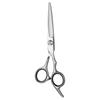 Stainless Steel Barber & Hairdressing Scissors Set: Flat Tooth & Thinning Options