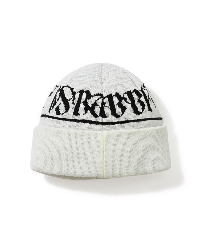 Bieseulaebis Logo Pattern White Beanie
