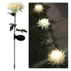 Solar Lighting Lamp Set 2x LED Flowers Solar Chrysanthemum GoGarden