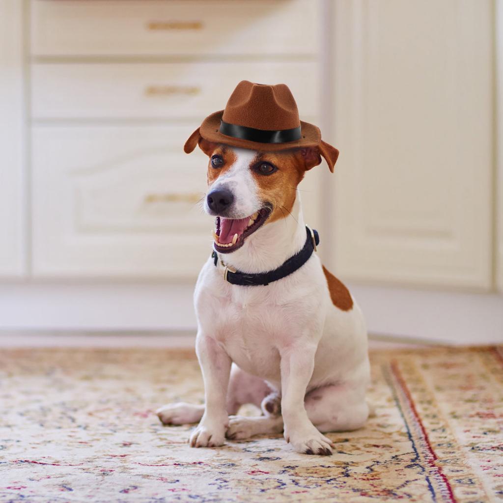 Dog Cowboy Hat High-Grade Cotton Adjustable Strap Decorative Puppy Hat Party Festival Pet Accessory Pet Supply
