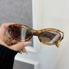 Cat Eye Sunglasses Women Men Vintage Brand Mirror Stylish Sun Glasses Female Male Cute Lens Personality Colors