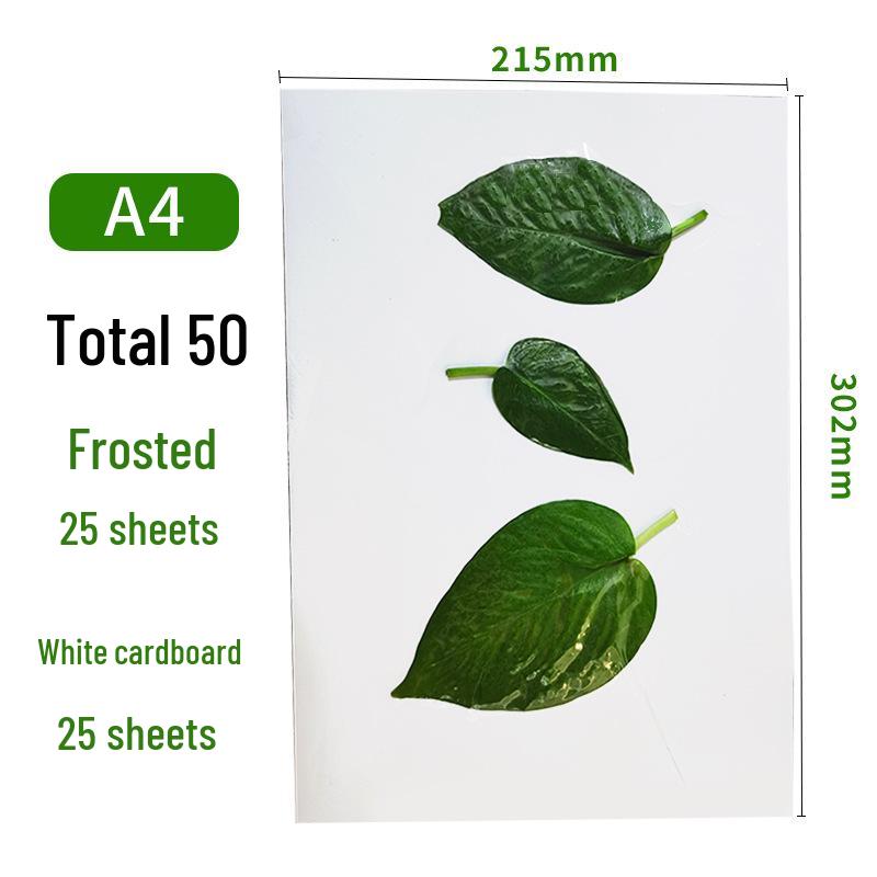 Self-Adhesive Cold Laminating Film - 6 Inch, A4, A6 for Photos, Bookmarks, and Leaf Specimens