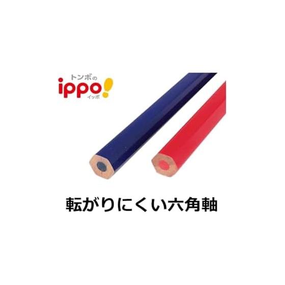 Tombow Pencil Red & Blue Pencils (5:5 Ratio) for Marking, Hexagonal Barrel, Ippo! Pack of 2 (BCA-261) - Ideal for Grading, Clear Red Lead, Perfect