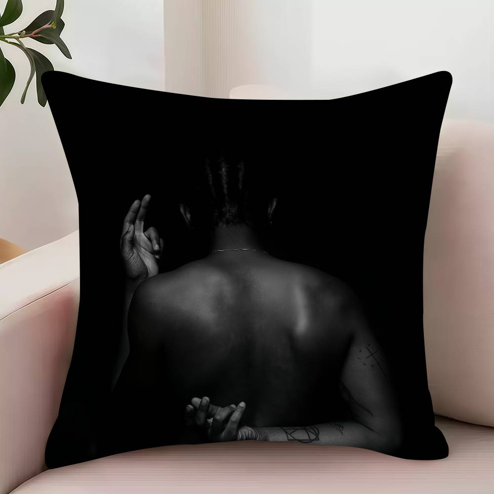 M-Montell Fish CHARLOTTE Pillow Case Decor Protective Covers Comfortable soft for Sofa Living Room Home office 12x12Inch