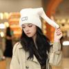 Fashion Autumn and Winter Knitted Wool Hat Rabbit Ears Warm Tide Hat Niche Design Ear Protection Cap Men Women