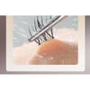Nreain - Glue-free Multipack False Eyelashes Cluster (Various Designs)