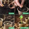 Biodegradable Seed Starter Pots Pulp Paper Transplanters Peat Flower Plant Seedlings Germination Tray Garden Eco Friendly