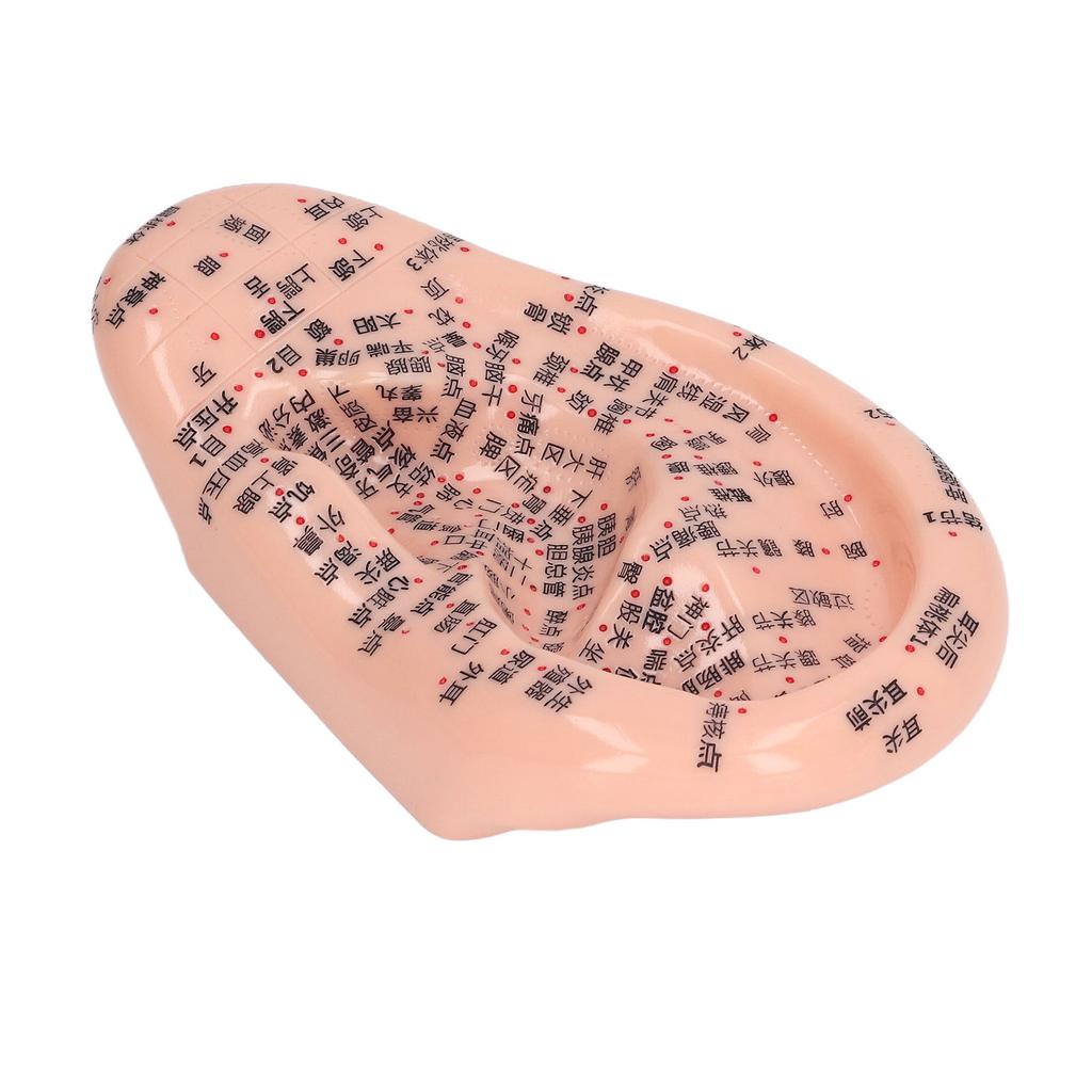 6.7in Ear Acupuncture Model Silicone Engraving Ear Massage Acupuncture Model for Home Laboratory