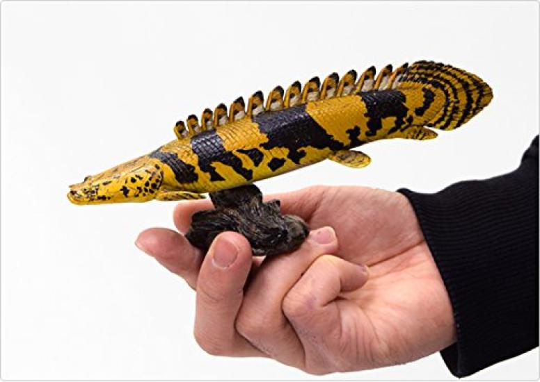 Polypterus endrikerii Soft Model (FF-004)
