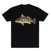 Y2k Summer Marine Fish Handpainted Salmon Sea Fish Fishing Beach Fishing Pure Cotton Printed Loose Shortsleeved Tshirt