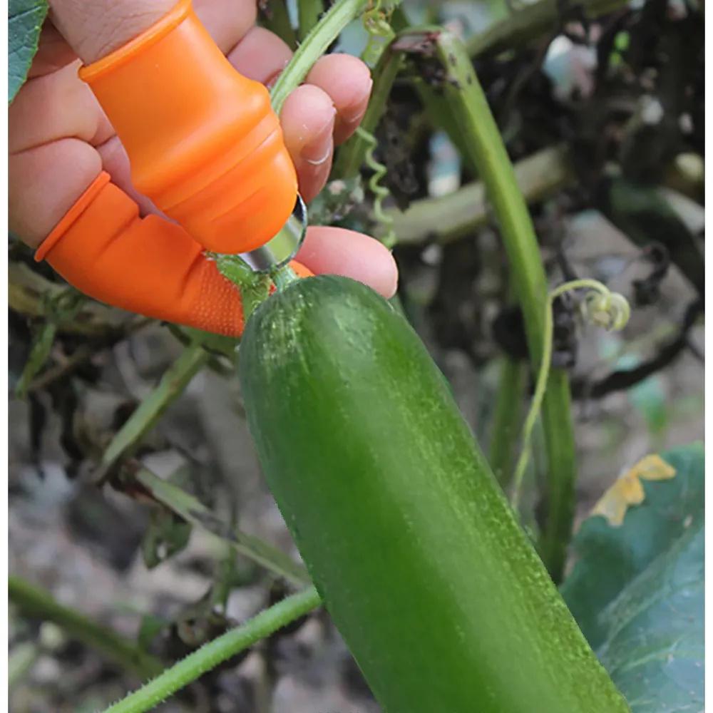 Fruit , pepper , garlic peeler, green pincher, thumb vegetable , silicone thumb knife glove, thumb knife for picking vegetables.