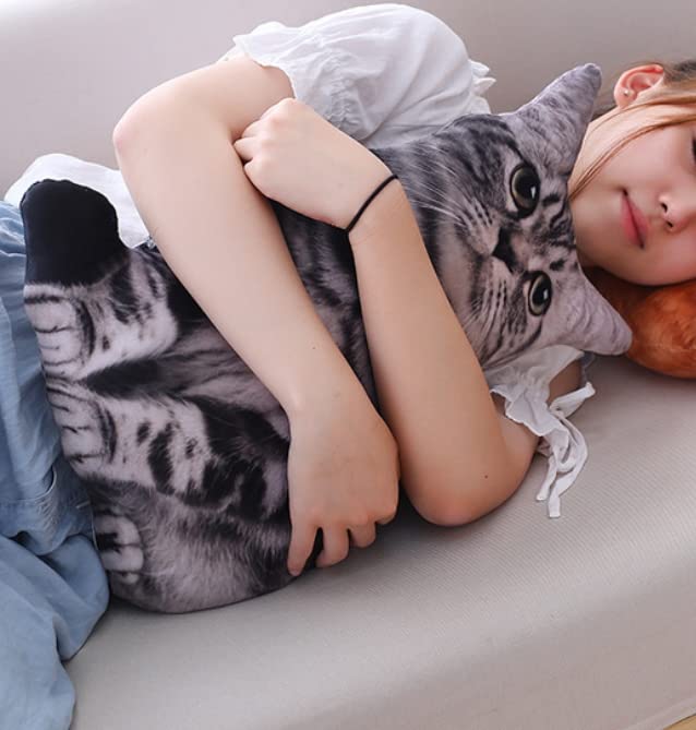 [dokidoki] Cat Cushion Body Pillow Plush Toy American Shorthair Tabby Cat Funny Gift Cute Moe Instagram Chatora