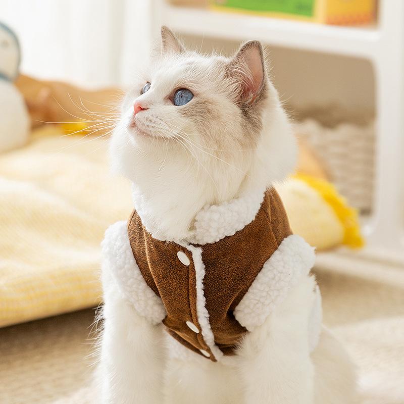 Pet clothing Autumn and winter cat lamb wool thickened warm into cat kittens hairless cat dog two-legged cat clothes