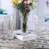 Thickened Crystal Glass Vase for Hydroponics & Flower Arrangements
