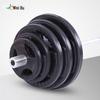 Weibu Coated Olympic Barbell Set