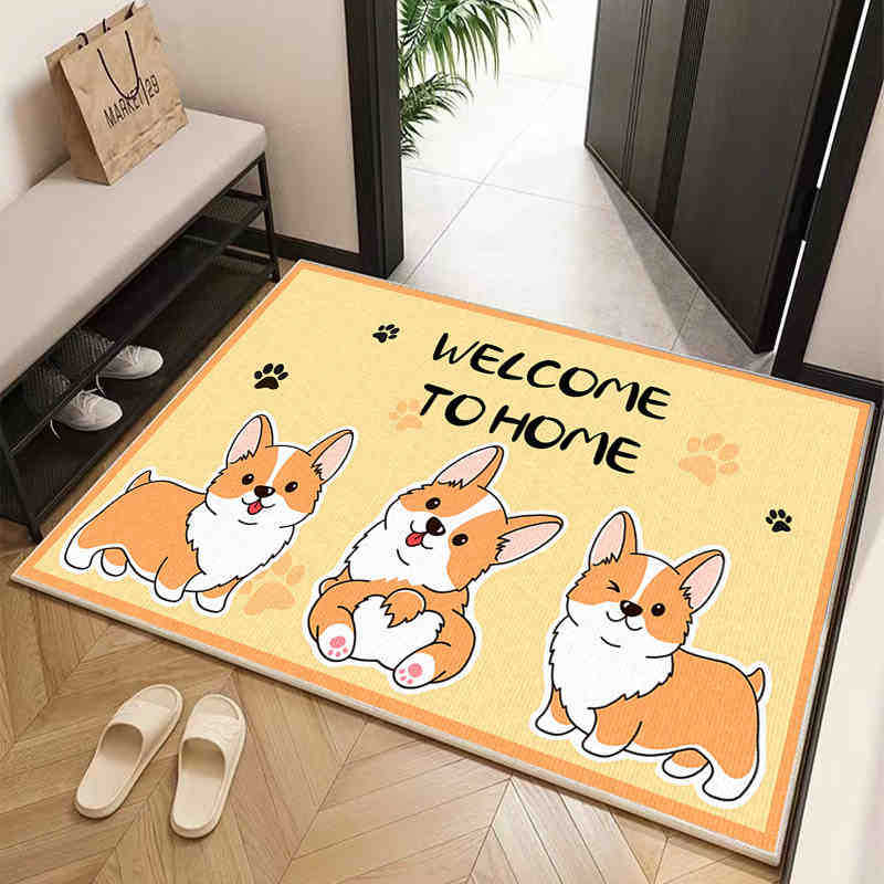 Mata podłogowa do domu w stylu amerykańskim Mata wejściowa do zdrapywania błota i brudu Odporna na zabrudzenia Mata podłogowa z kryształowego aksamitu Do użytku domowego Łatwa w pielęgnacji mata podłogowa