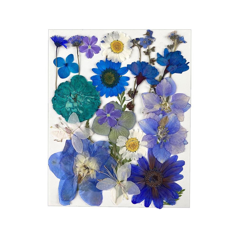 1 Pack Dried Flowers Decoration Embossing Flowers Handmade Flower Material Natural Dry Flowers Candle For Making Crafts Nail Art Decoration