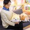 Miaoowa 30/50/60cm Cute Corgi Dog Plush Toy Soft Animal Pillow For All Ages