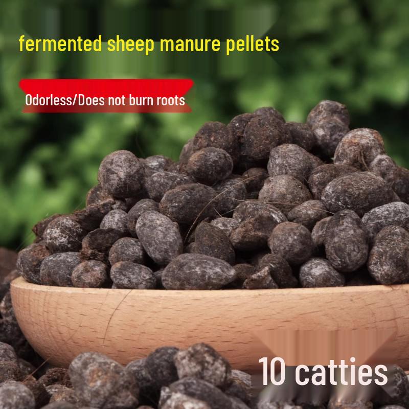 Organic Bougainvillea & Winter Sweet Rooting and Nutrient Fertilizer