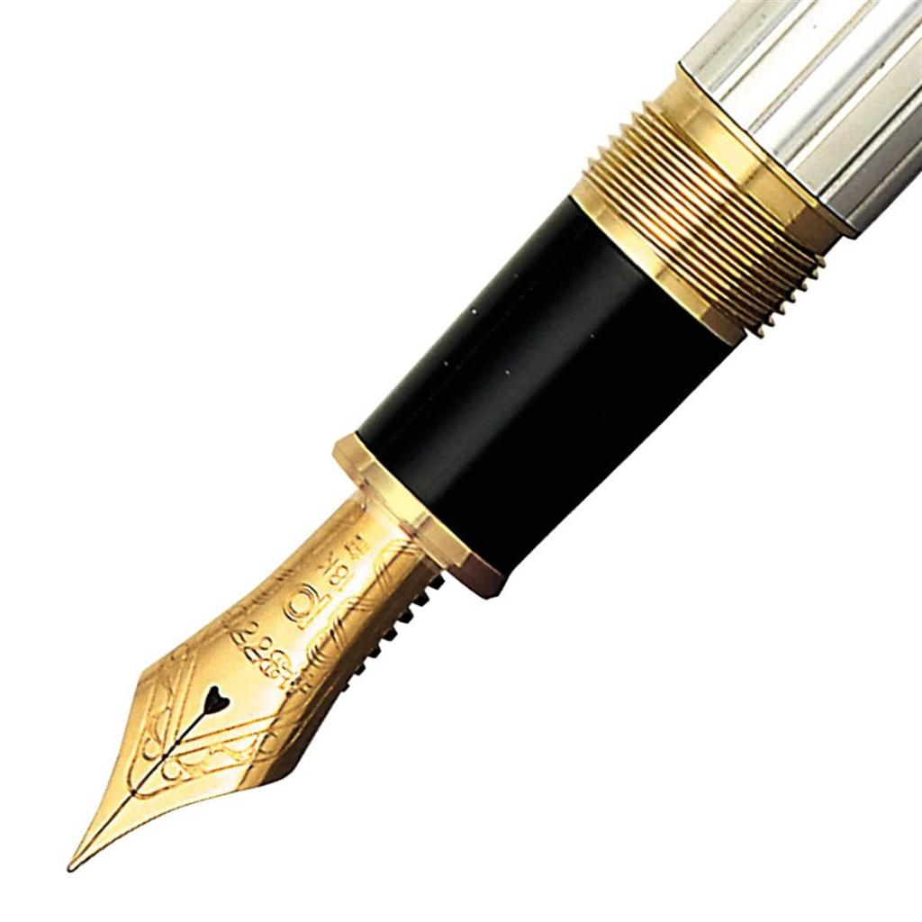PLATINUM Platinum Fountain Pen Solid Silver Medium Nib PTS-50000#9-3