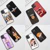 Cover for Apple iPhone 13 12 Mini XS 11 Pro Max 7 8 Plus + XR SE 2022 2020 SE3 Phone Case Oikawa Tooru Haikyuus Shoyo Hinata