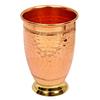 Pure Copper Drinkware Gift Set of Cocktail Design 1 Bottle & 2 Glass with Gift Box, Gift Item for Diwali, Bithday & Parties, Bottle