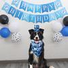 1 Set Pet Birthday Party Decoration Flag Triangle Towel Birthday Hat Balloons