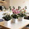 Butterfly Orchid Artificial Plant With Plastic Pot For Home Decor And Events