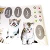 Les Trésors De Lily [L2472] - 'A Love of Animals' Cat Sticker Sheet (50x70 Cm)
