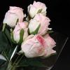 100X Clear Cellophane Wrap Rolls 4 Sizes For Gifts & Bouquets 100Pcs 60*60Cm Gift Bags