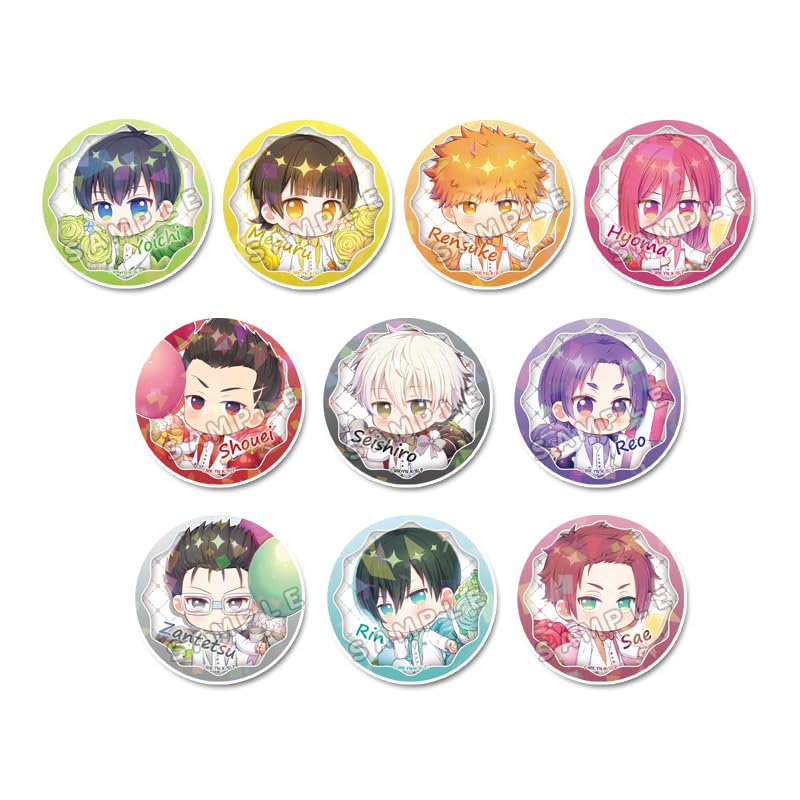 

Blue Rock Puchichoko Trading Hologram Can Badge Celebration Box of 10