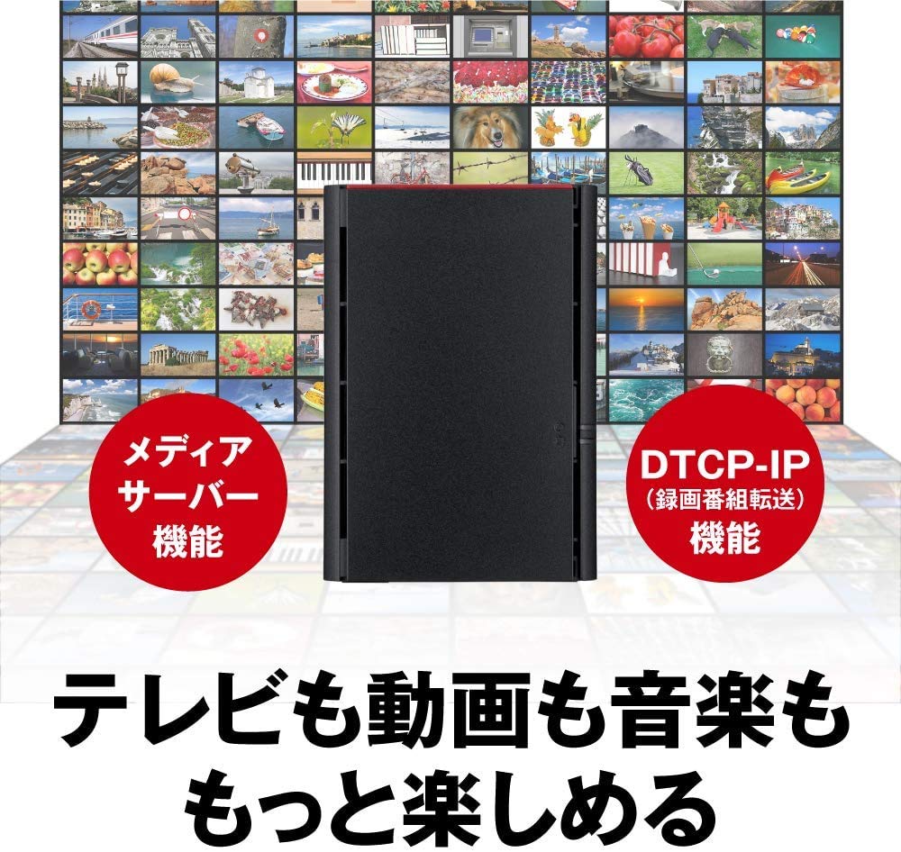 Buffalo BUFFALO Link Station LS220DN Disque dur réseau 2 baies 8 To LS220D0802N