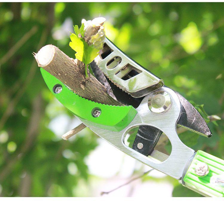 Telescopic High-Altitude Pruner & Fruit Picking Shears