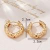 Simple smooth irregular ear buckle versatile light luxury temperament trendy earrings