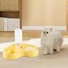 Cat Feeder Food Grade Stainless Steel Bowl Pet Feeder with Automatic Water Refill Dual Zone Design Cat Food Water Combo