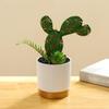 Artificial Cactus Desktop Ornament