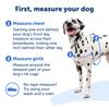 PetSafe Easy Walk Harness Red (SM, & Black)