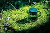 CAPTAIN STAG Coffee Coffee Server 470ml with Lid and Scale KOKAGE/Green CS Forest Cafe Made In Japan UW-3562