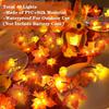 20ft 40 LED Maple Leaf Light String Halloween Thanksgiving Garden Party Decoration Lights Hold On And Flashing